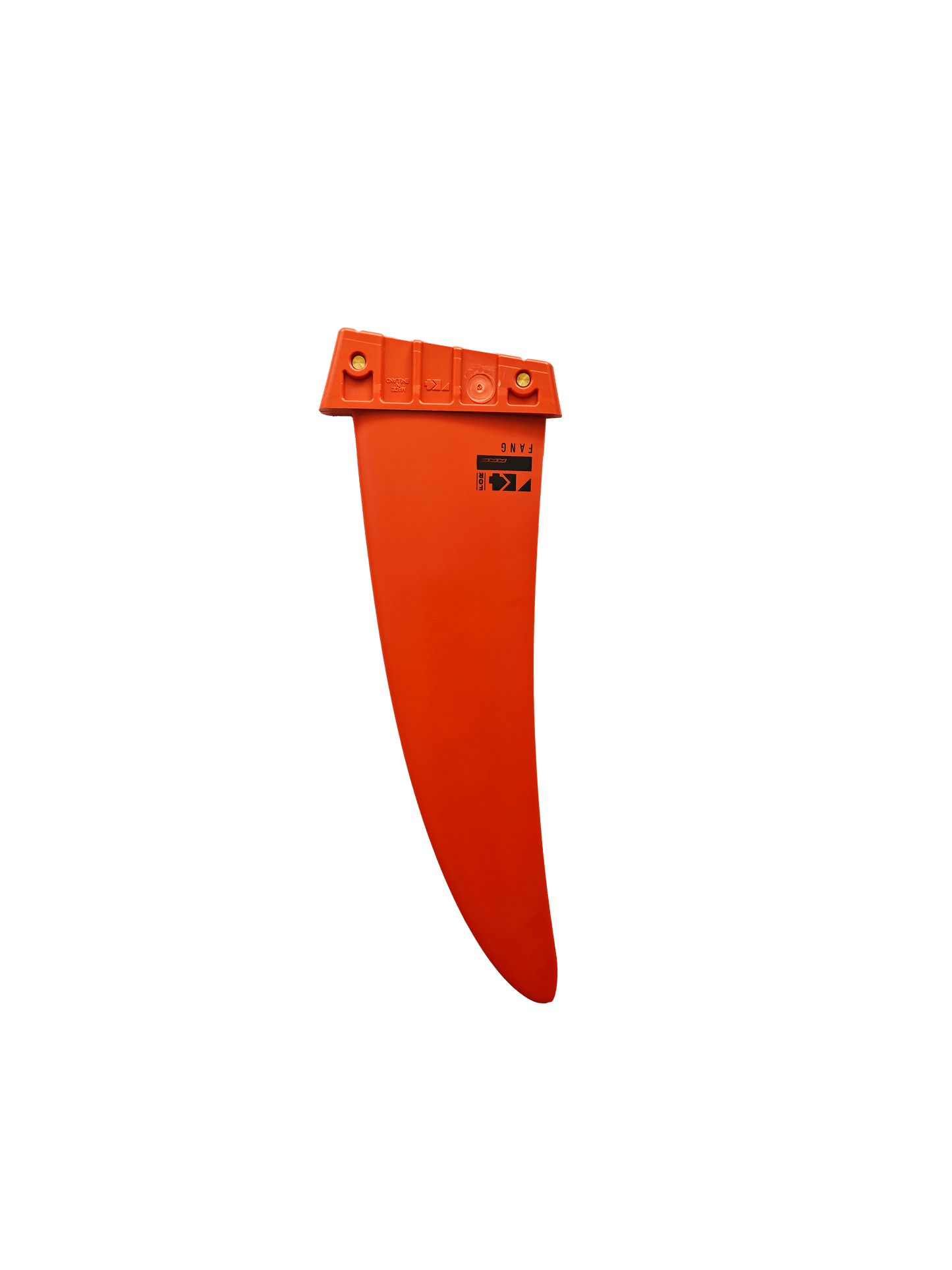 FANG FIN TUTTLE BOX Y25