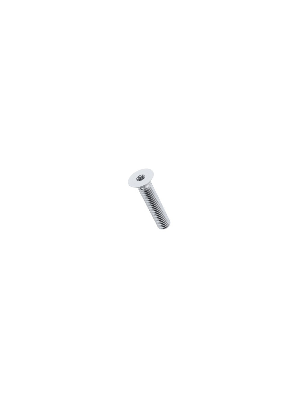 TORX SCREW M6 Y28
