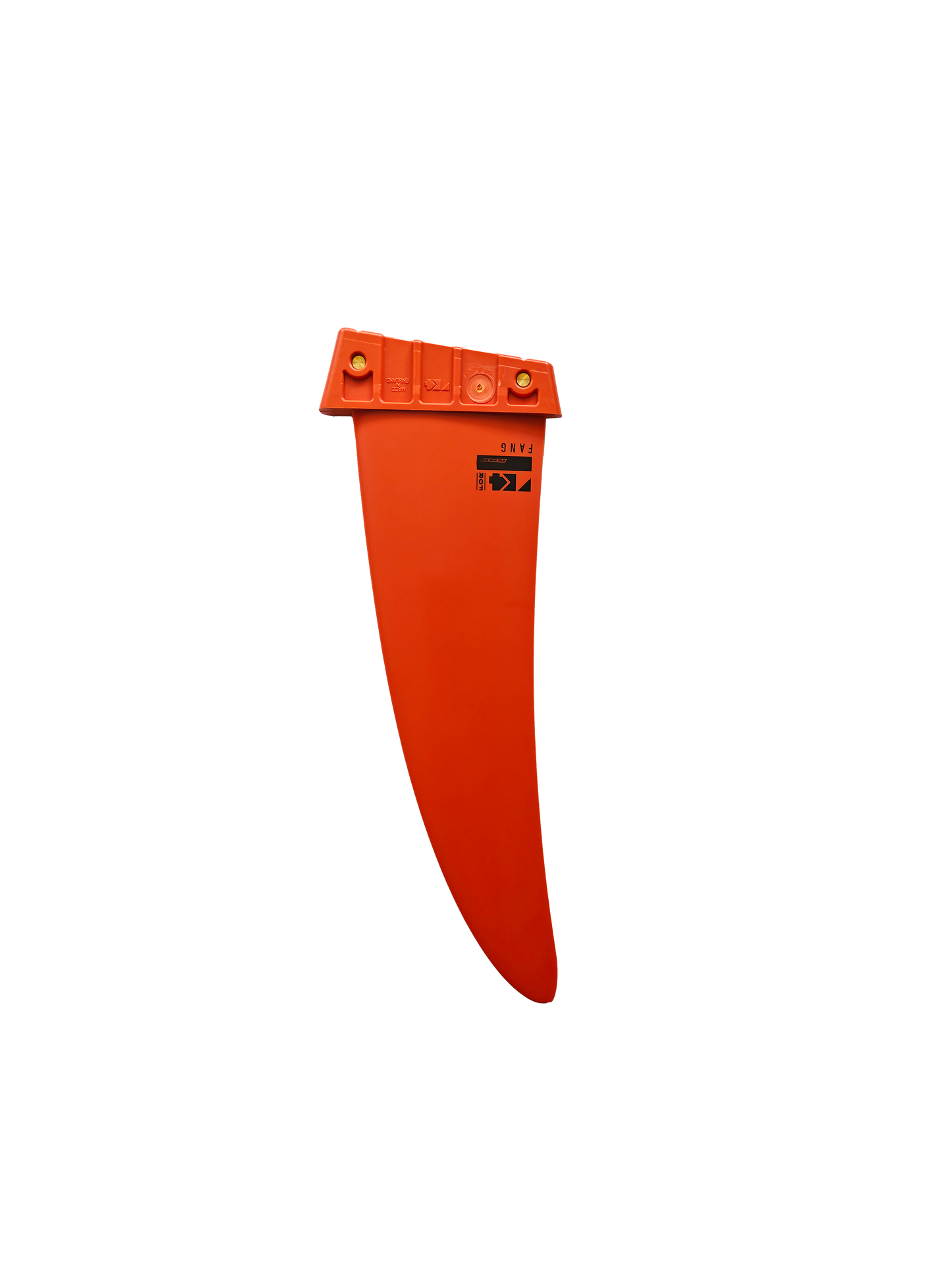 FANG FIN TUTTLE BOX Y25