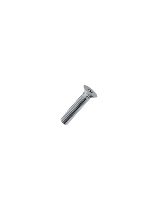 TORX SCREW M8 Y28