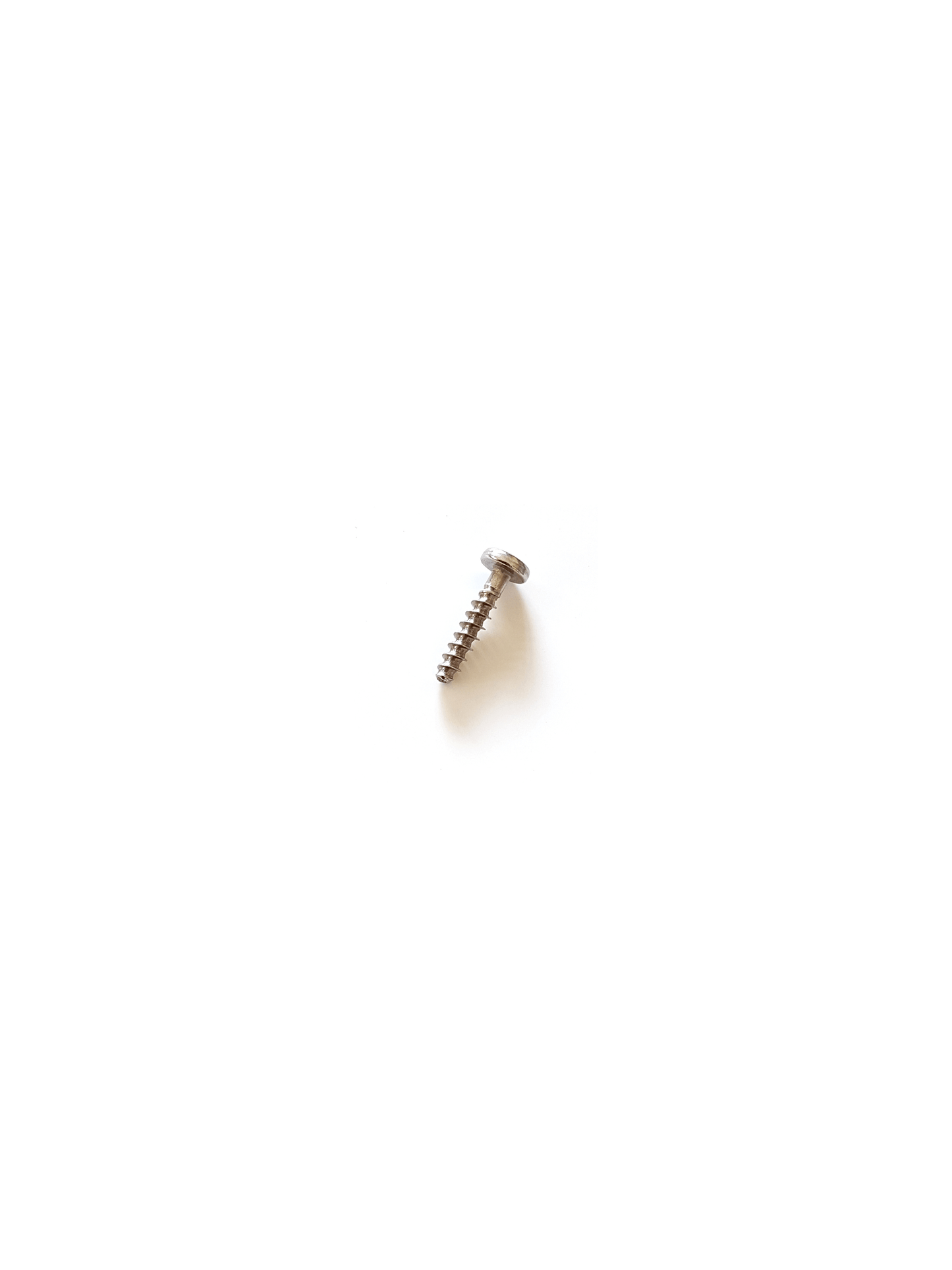 WINDSURF FOOTSTRAPS SCREW STL