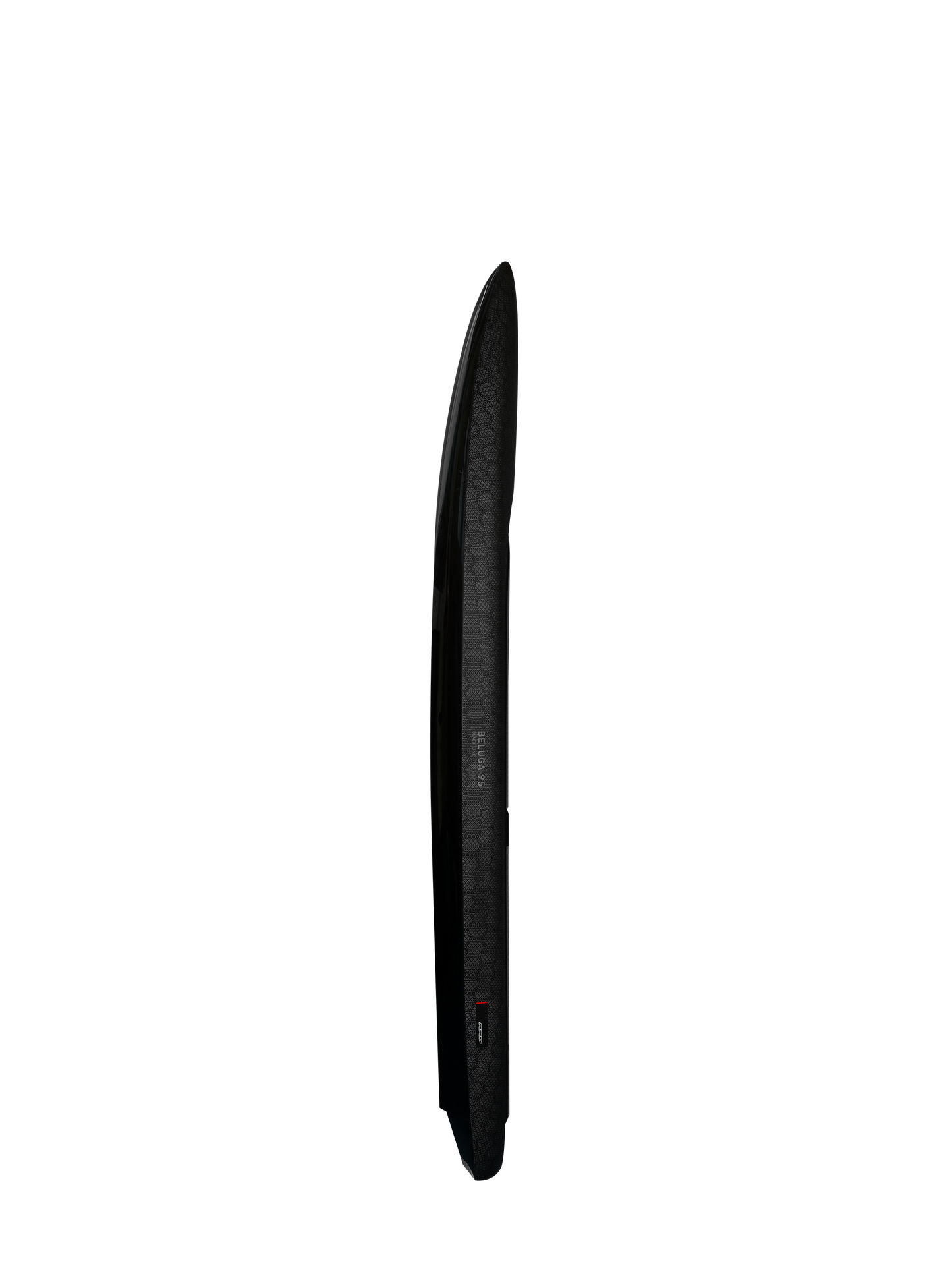 BELUGA BLACK LINE Y31