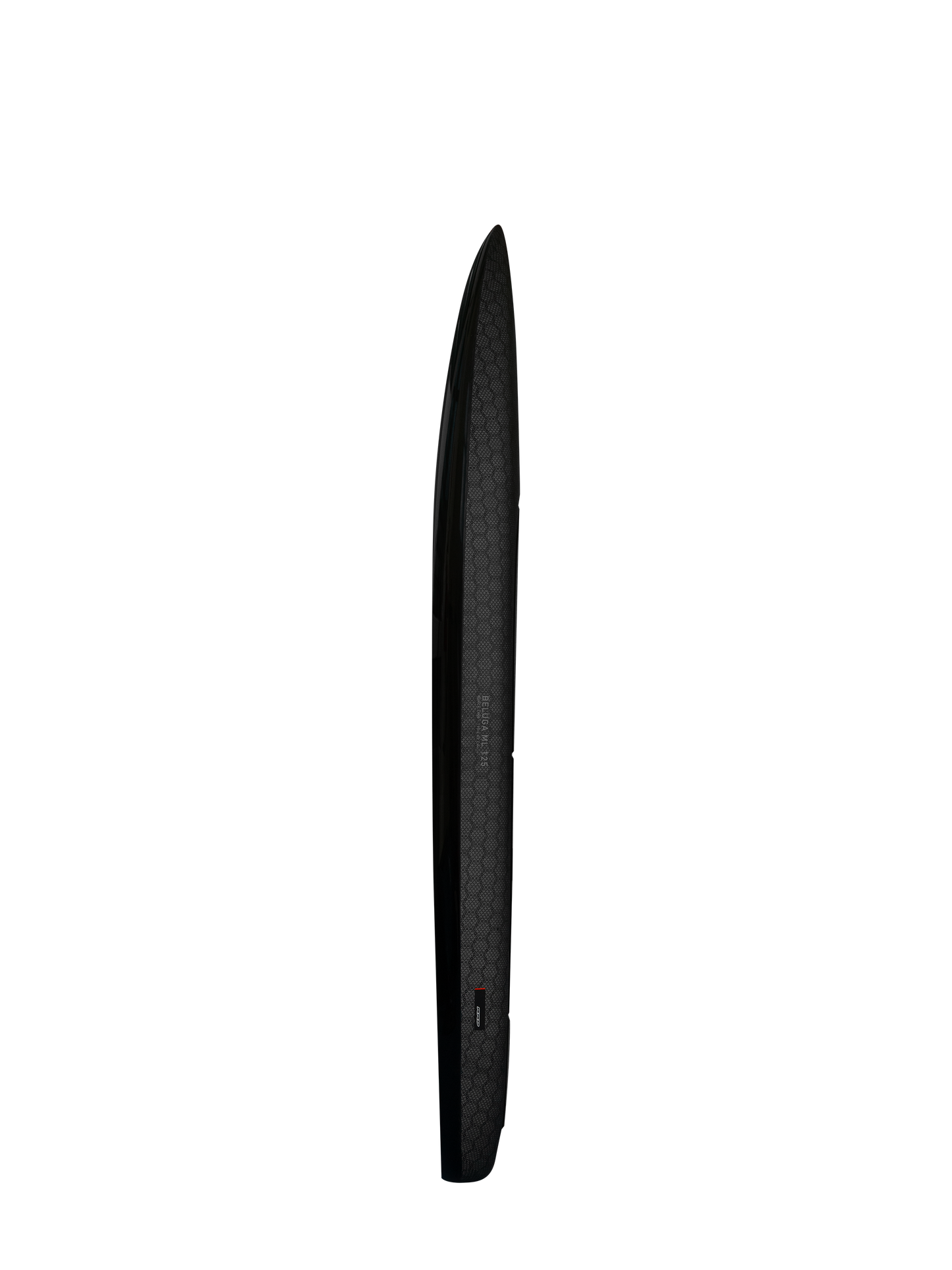 BELUGA ML BLACK LINE Y31
